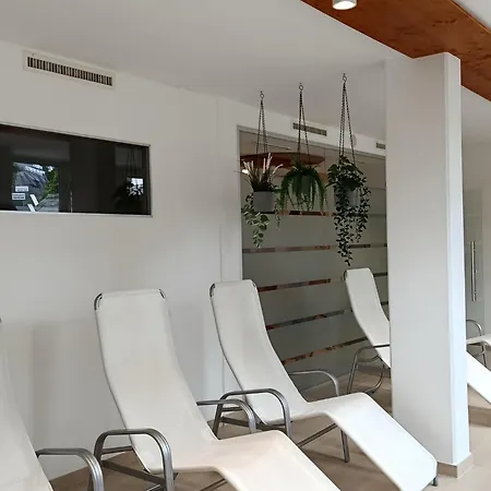 Appartement Hirschs Dachstueberl Inkl Aktivcard, Pool, Sauna, Panoramabalkon